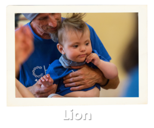 Find Out More - Lion