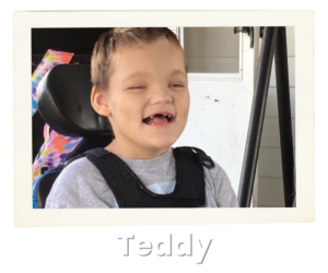 Find Out More - Teddy