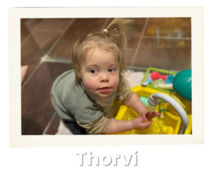 Find Out More - Thorvi EN