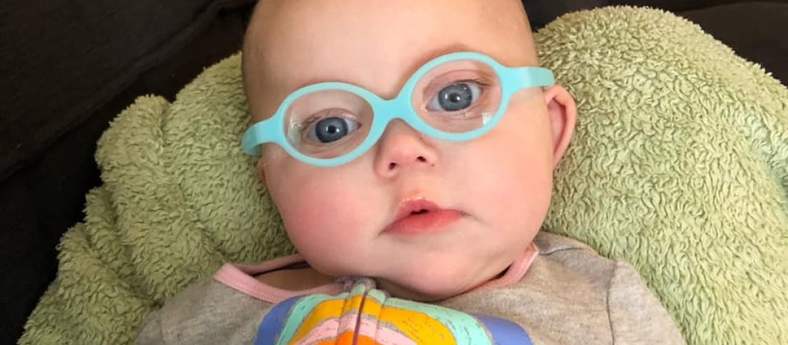 7-months-genetics-1